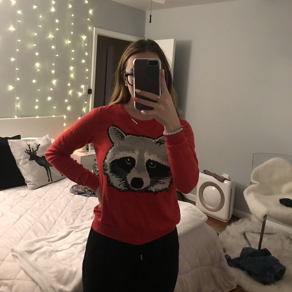 Raccoon sweater